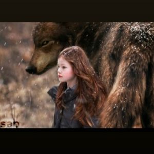 Meet your Posher, Renesmee Collens